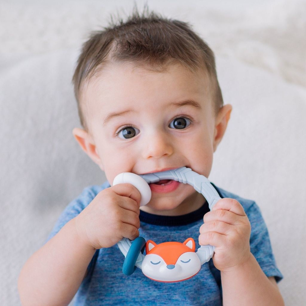 Ritzy Rattle - Silicone Teether