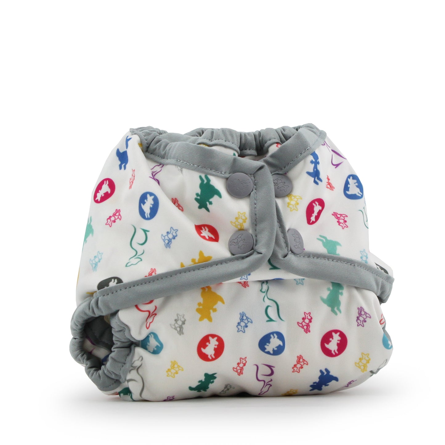Rumparooz Newborn Cover - Snap - Roozy - RETIRED PRINT