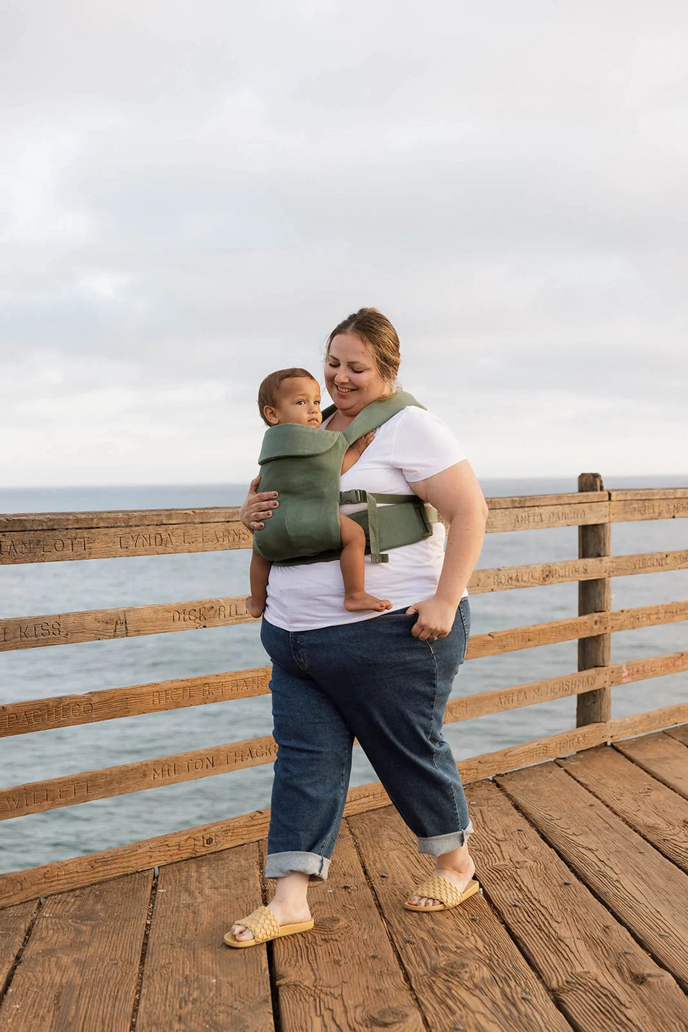 WildBird Aerial Carrier