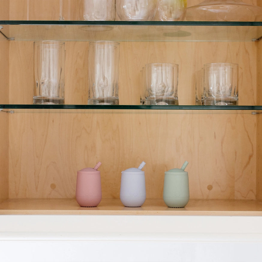 EZPZ Mini Cup & Straw Training System