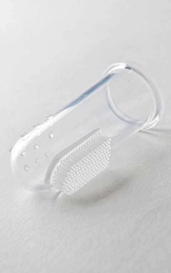 Jack N' Jill Silicone Brush - Stage 1