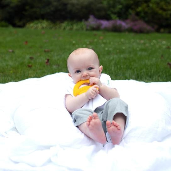 Green Sprouts Silicone Fruit Teether