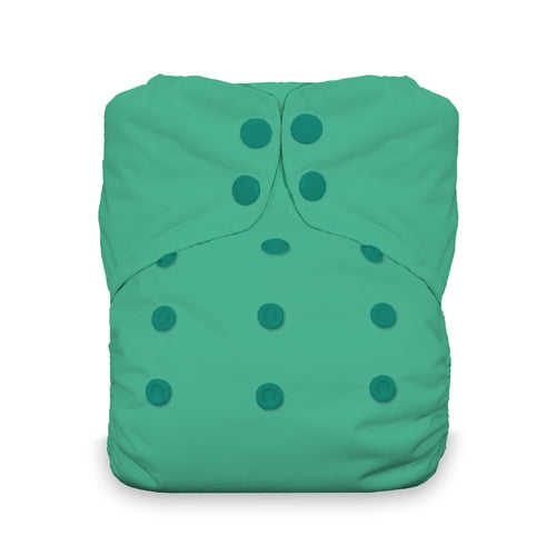 Thirsties Stay Dry Natural Snap ONE SIZE (AIO) All in One