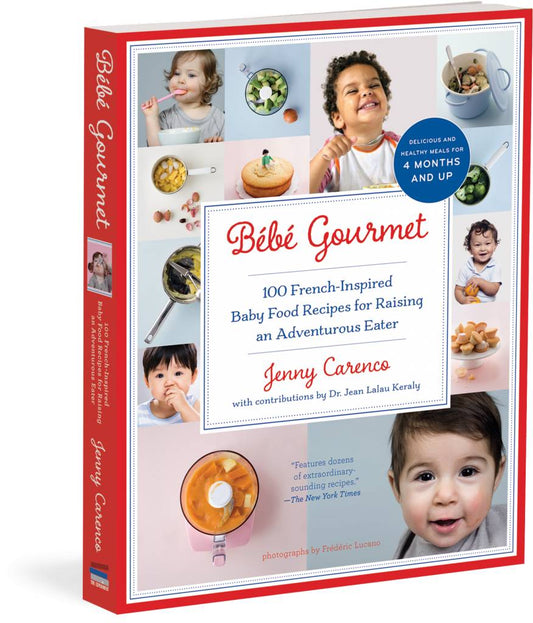 Bebe Gourmet - Parenting Book